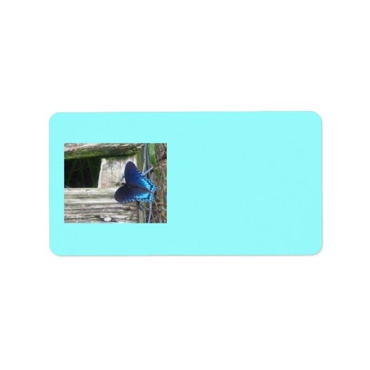 Blue Butterfly Resting Labels (Voorkant)
