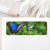 Blue Butterfly Return Address Labels (Insitu)