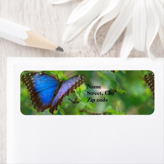Blue Butterfly Return Address Labels (Insitu)