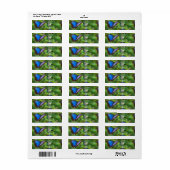Blue Butterfly Return Address Labels (Full Sheet)