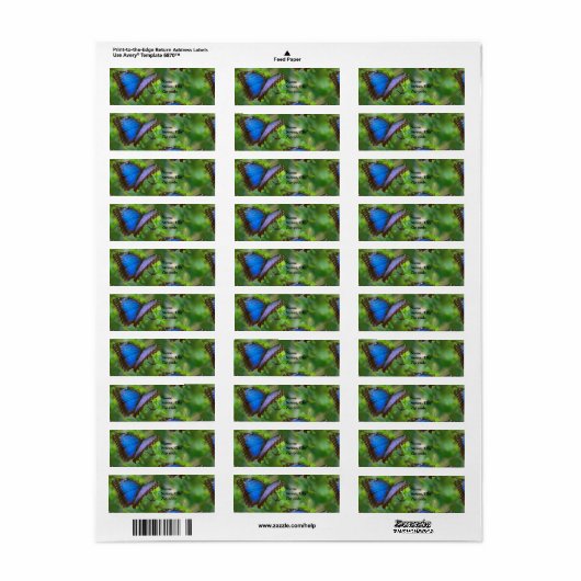 Blue Butterfly Return Address Labels (Full Sheet)