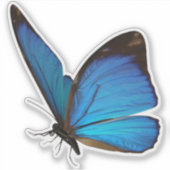 Blue Butterfly-sticker Sticker (Voorkant)