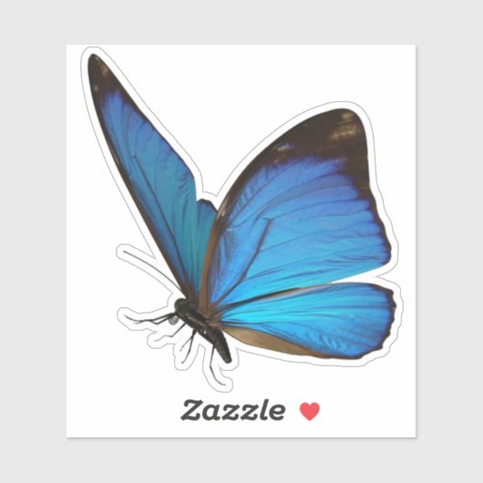 Blue Butterfly-sticker Sticker (Vel)