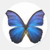 Blue Butterfly-stickers Ronde Sticker (Voorkant)