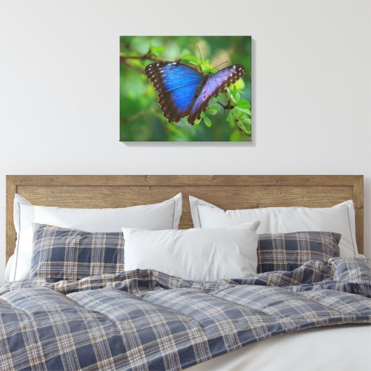Blue Butterfly Stretched Canvas (Insitu (Slaapkamer))