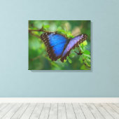 Blue Butterfly Stretched Canvas (Insitu (Houten vloer))