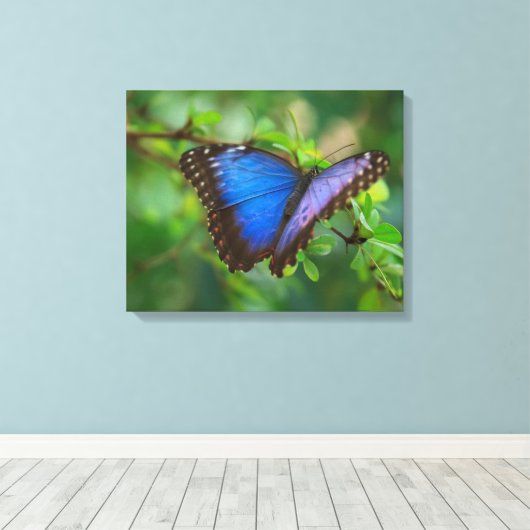 Blue Butterfly Stretched Canvas (Insitu (Houten vloer))