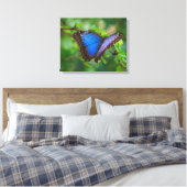 Blue Butterfly Stretched Canvas Afdruk (Insitu (Slaapkamer))