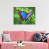 Blue Butterfly Stretched Canvas Afdruk (Insitu (Woonkamer))