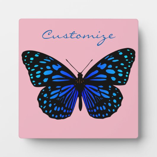 Blue Butterfly Thunder_Cove Fotoplaat (Voorkant)