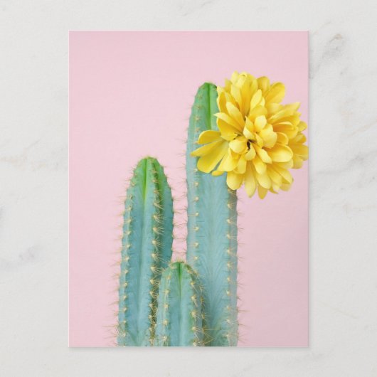 Blue Cactus Trio Briefkaart (Voorkant)