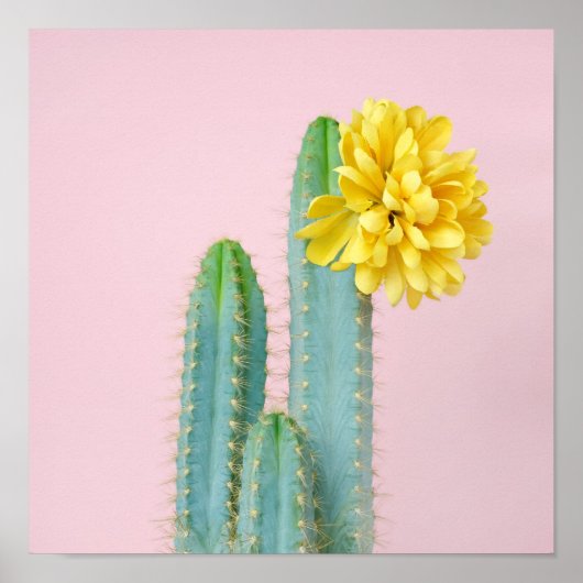 Blue Cactus Trio Poster (Voorkant)