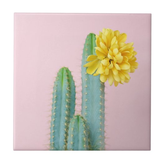 Blue Cactus Trio Tegeltje (Voorkant)