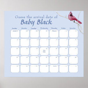 Blue Cardinale Bird Baby shower schat de vervaldat Poster