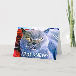 Blue Cat 60th Birthday Card Kaart