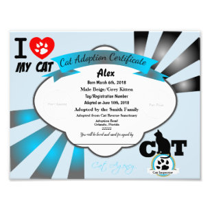 Blue Cat Adoption Certificate Foto Afdruk