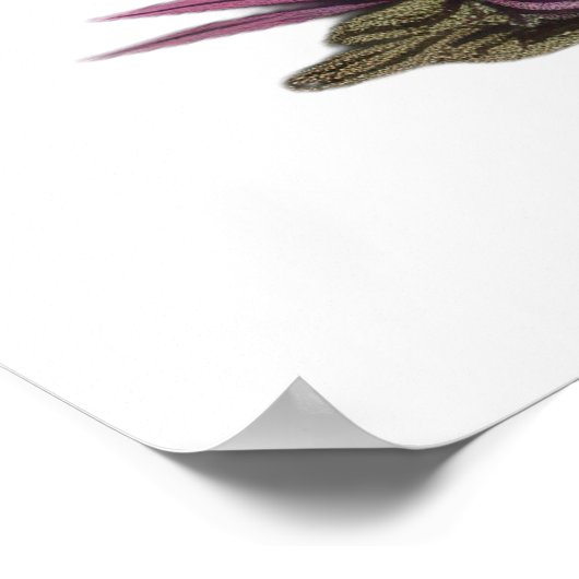 Blue Cat onder paddenstoel Pet Poster (Hoek)