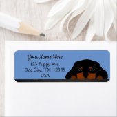 Blue Cavalier King Charles Spaniel Puppy Dog Etiket (Insitu)