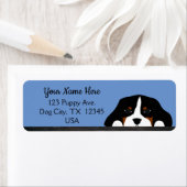 Blue Cavalier King Charles Spaniel Puppy Dog Etiket (Insitu)