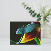 Blue Chameleon Briefkaart (Staand voorkant)
