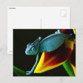Blue Chameleon Briefkaart (Voorkant / Achterkant)