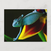 Blue Chameleon Briefkaart (Voorkant)