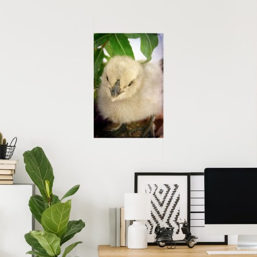 Blue Chick Poster (Thuiskantoor)