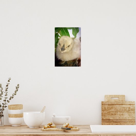 Blue Chick Poster (Keuken)