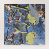 Blue Chickadee Familie tot Almond Blossom Legpuzzel (Horizontaal)