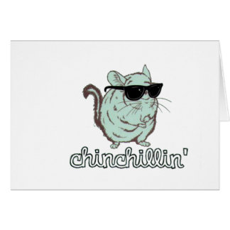 Blue Chinchillin Chinchilla