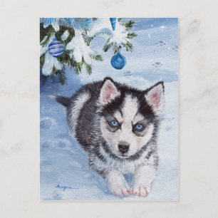 Blue Christmas Husky Dog Pup Xmas briefkaart