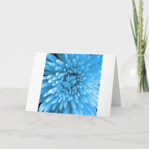 Blue Chrysanthemum Kaart