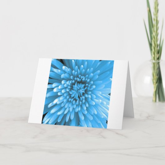 Blue Chrysanthemum Kaart (Voorkant)