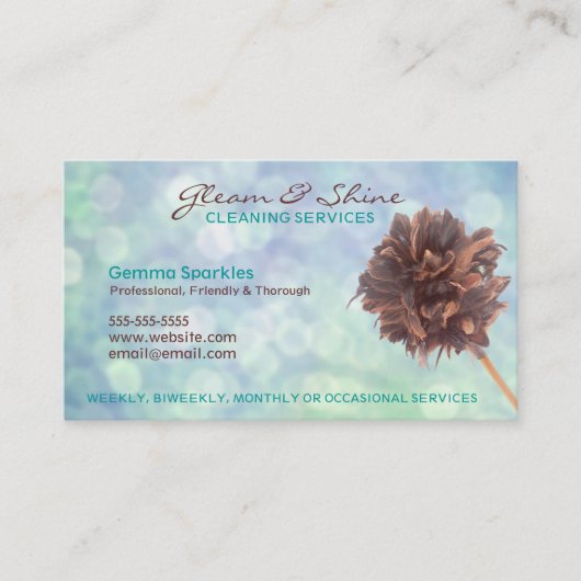 Blue Cleaning Services Visitekaartjes (Voorkant)
