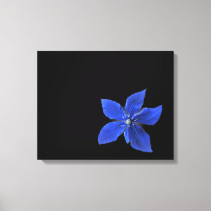 Blue Clematis op Black Wrapped Canvas Afdruk