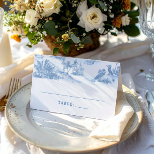 Blue Coastal Toile Wedding Place Cards Plaatskaartje