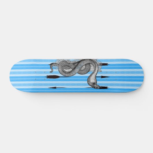 Blue Cobra Skateboard (Horizontaal)