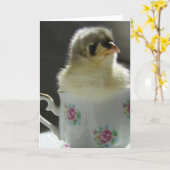 Blue Cochin Chick in a Teacup Kaart (Gele Bloem)