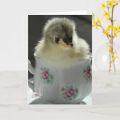 Blue Cochin Chick in Teacup Kaart (Gele Bloem)