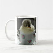 Blue Cochin Chick in Teacup Koffiemok (Links)