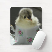 Blue Cochin Chick in Teacup Muismat (Met muis)