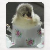 Blue Cochin Chick in Teacup Muismat (Voorkant)