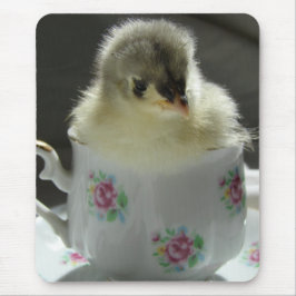 Blue Cochin Chick in Teacup Muismat