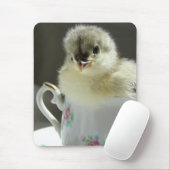 Blue Cochin Chick Muismat (Met muis)