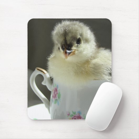 Blue Cochin Chick Muismat (Met muis)