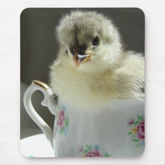 Blue Cochin Chick Muismat (Voorkant)