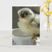 Blue Cochin Chick op Teacup Kaart (Gele Bloem)