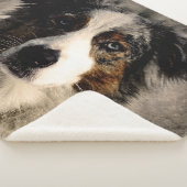 Blue Collie Sherpa Deken (3/4)