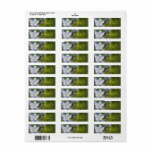 Blue Columbine Flowers Return-adres Etiket (Full Sheet)