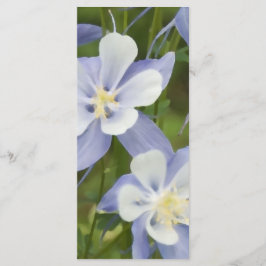 Blue Columbine Flowers Wedding Programme Programmakaart